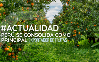 EL PERÚ COMO LÍDER EN EXPORTACIÓN DE FRUTAS