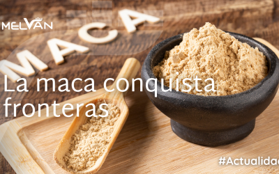 EXPORTACIONES DE MACA PERUANA CRECIERON 65 % EN VOLUMEN DURANTE MAYO DE 2025