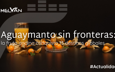 FRUTA DE ORO ANDINA: AGUAYMANTO LLEGA A MÁS DESTINOS Y CRECEN SUS ENVÍOS